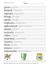 DSS_2S_Bu_er_Nr_10.pdf